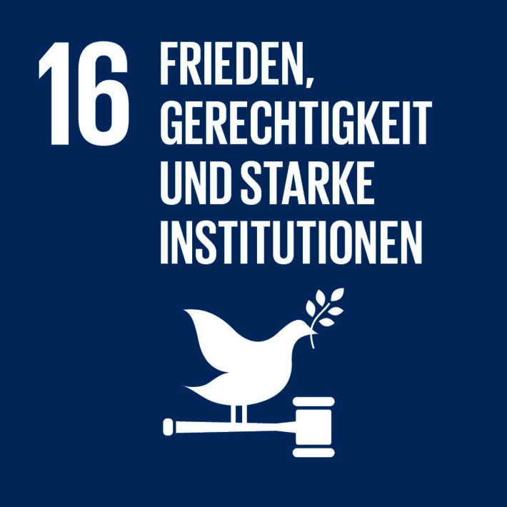 16: Frieden, Gerechtigkeit und starke Institutionen