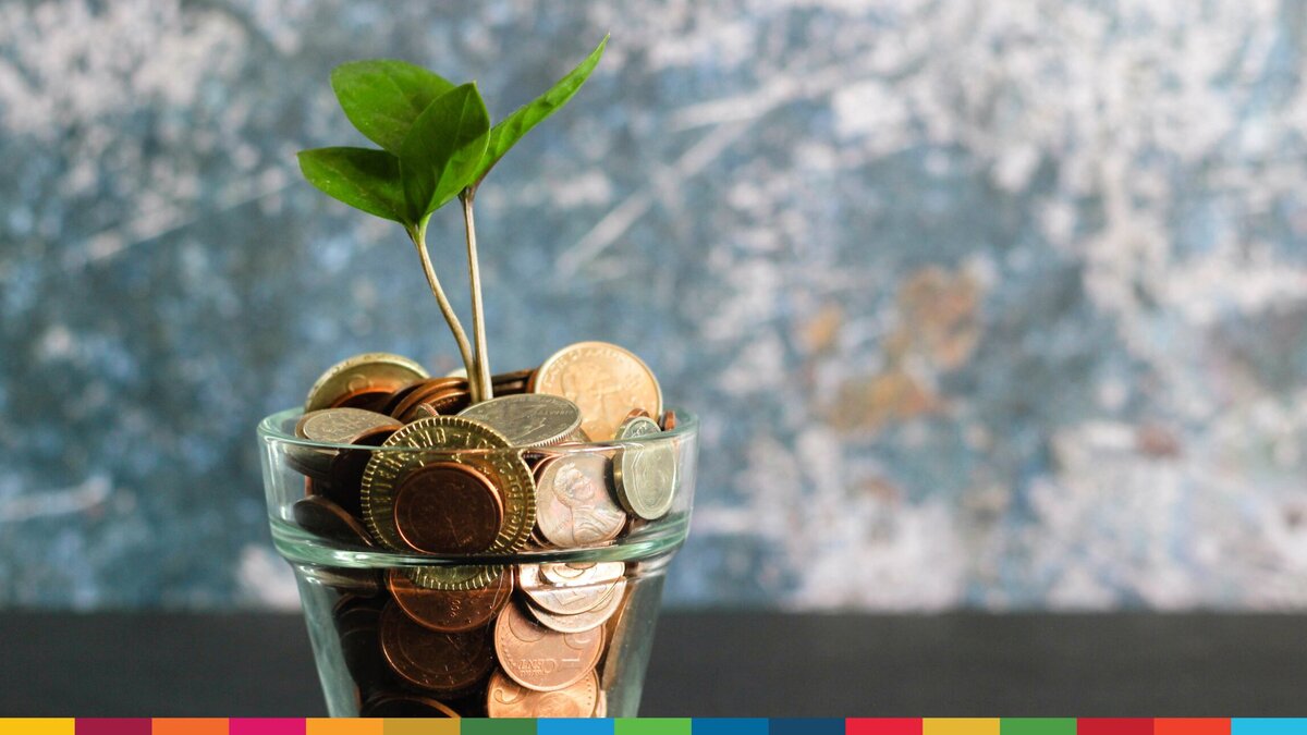 A plant is growing out of a coin pile