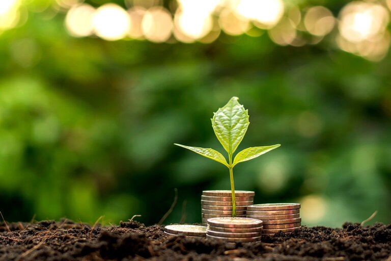 A seedling growing amid a pile of coins on potting soil in front of a blurry green background showing plants.