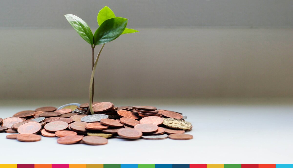 A plant is growing out of a coin pile