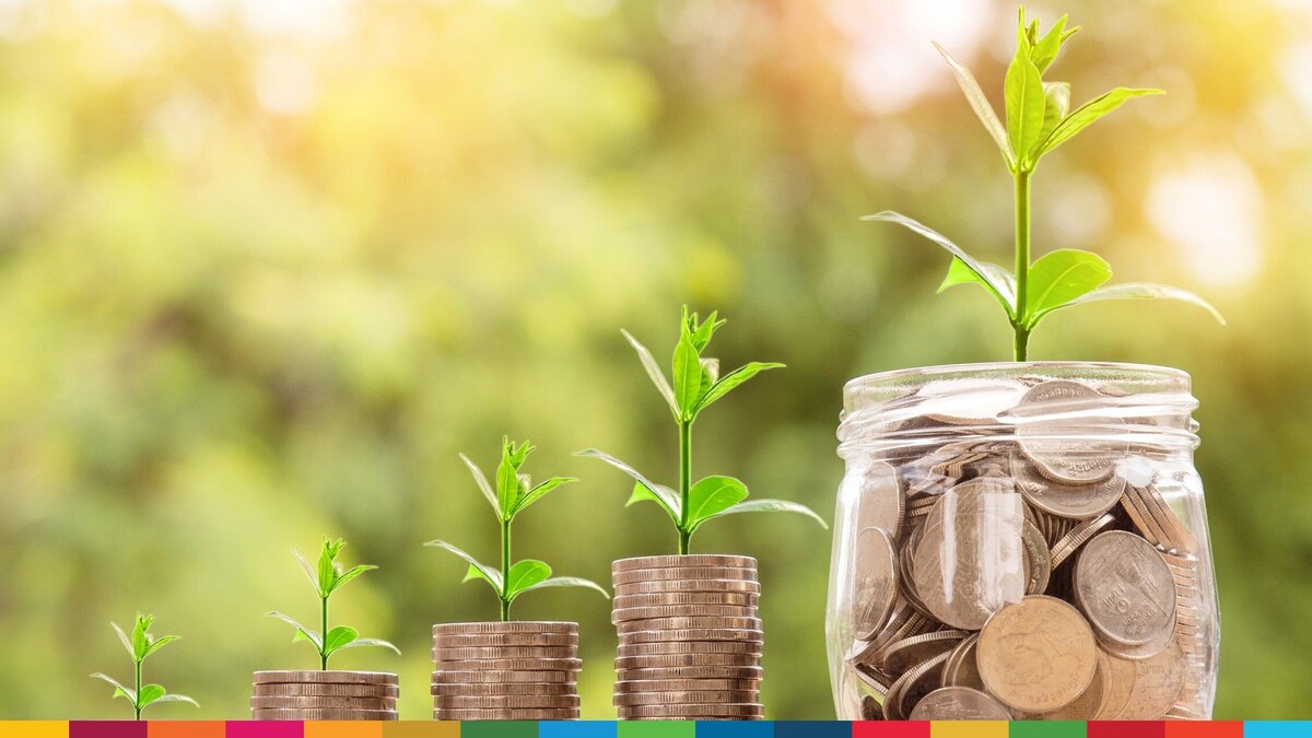 Plants are growing on coin piles