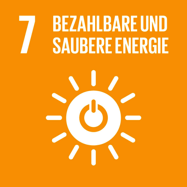 7: Bezahlbare und saubere Energie