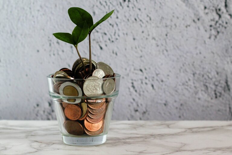 Eine Pflanze wächst aus einem Haufen Geldmünzen