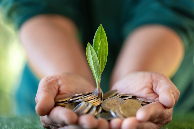 Two hands are holding some coins from which a small plant is growing.