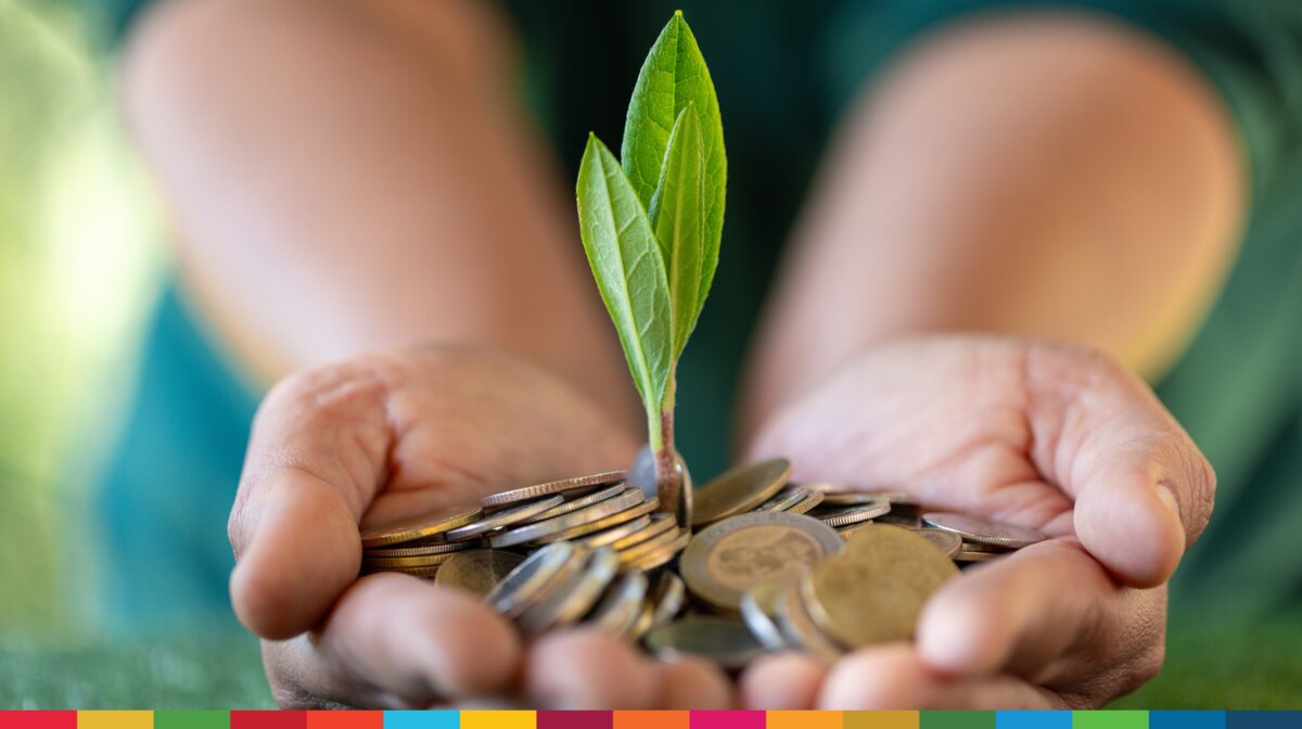 Two hands are holding some coins from which a small plant is growing.