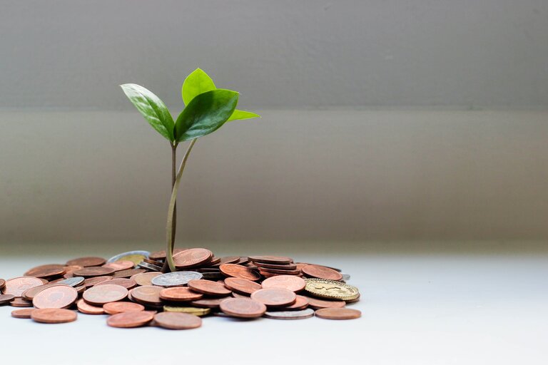 Eine Pflanze wächst aus einem Haufen Münzgeld