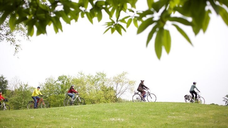 Das Bild zeigt eine grüne Wiese mit mehreren Fahrradfahrerinnen und -fahrern am Horizont.