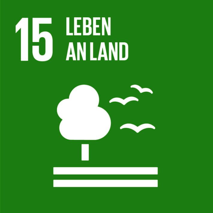 15: Leben an Land