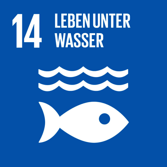 14: Leben unter Wasser