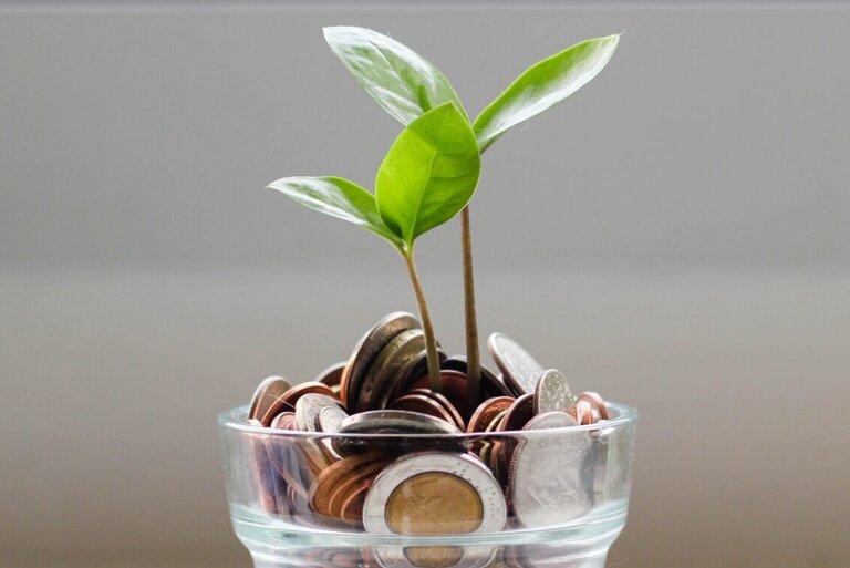 Eine Pflanze wächst aus einem Stapel von Geldmünzen